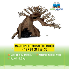 Masterpiece Bonsai Driftwood ~ 15 x 20 cm | A - 30