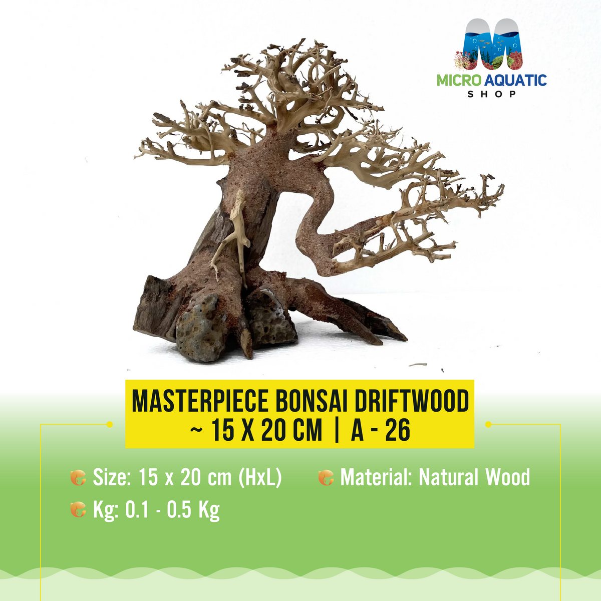 Masterpiece Bonsai Driftwood ~ 15 x 20 cm | A - 26