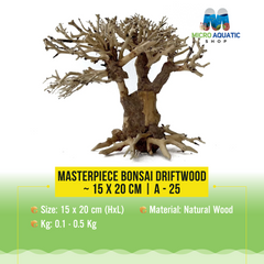 Masterpiece Bonsai Driftwood ~ 15 x 20 cm | A - 25