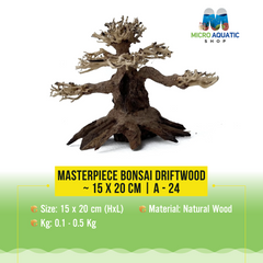 Masterpiece Bonsai Driftwood ~ 15 x 20 cm | A - 24