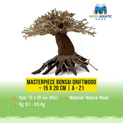 Masterpiece Bonsai Driftwood ~ 15 x 20 cm | A - 21