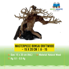 Masterpiece Bonsai Driftwood ~ 15 x 20 cm | A - 15