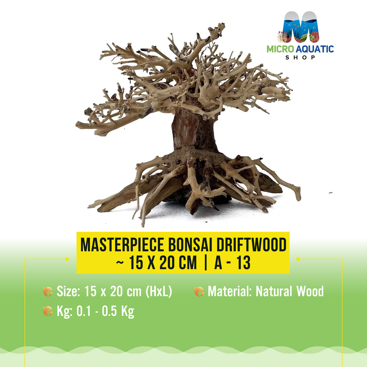 Masterpiece Bonsai Driftwood ~ 15 x 20 cm | A - 13