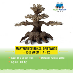 Masterpiece Bonsai Driftwood ~ 15 x 20 cm | A - 12