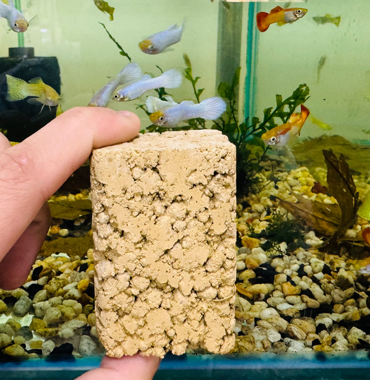 Bio Mini Block - Clean and Healthy Tank