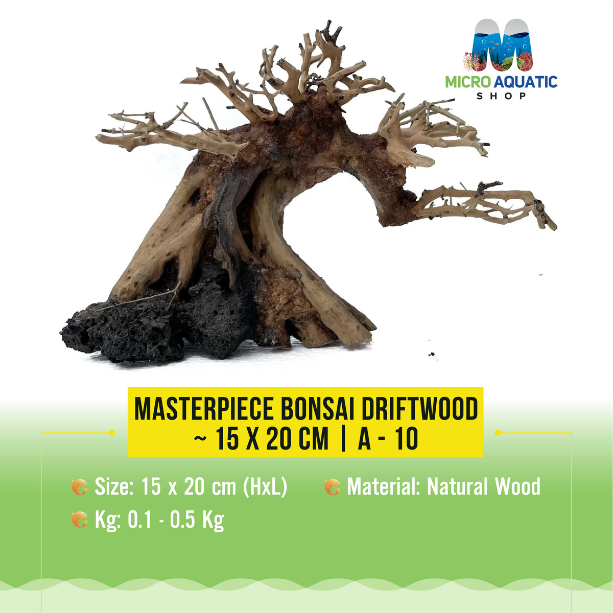Masterpiece Bonsai Driftwood ~ 15 x 20 cm | A - 10