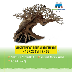 Masterpiece Bonsai Driftwood ~ 15 x 20 cm | A - 09