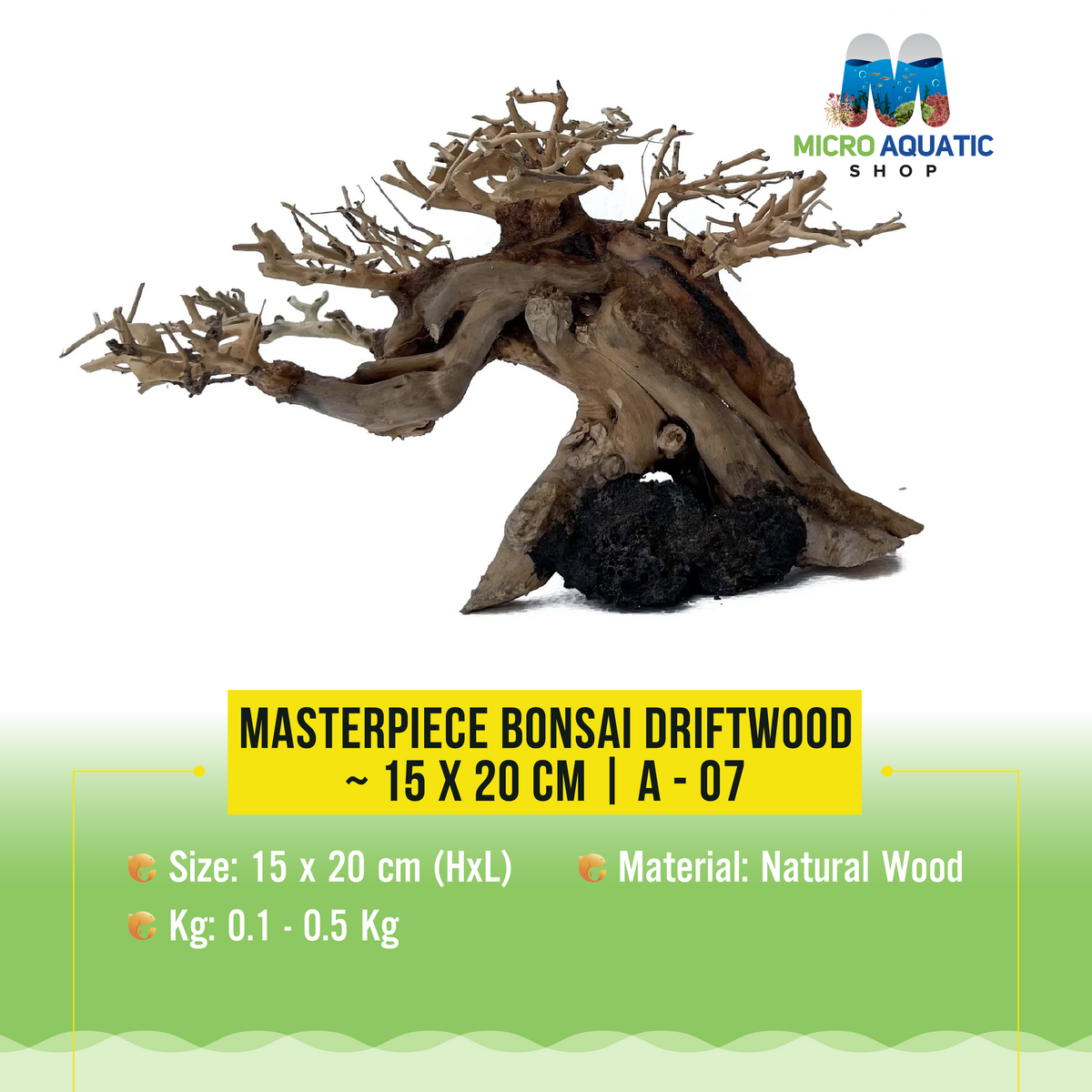 Masterpiece Bonsai Driftwood ~ 15 x 20 cm | A - 07