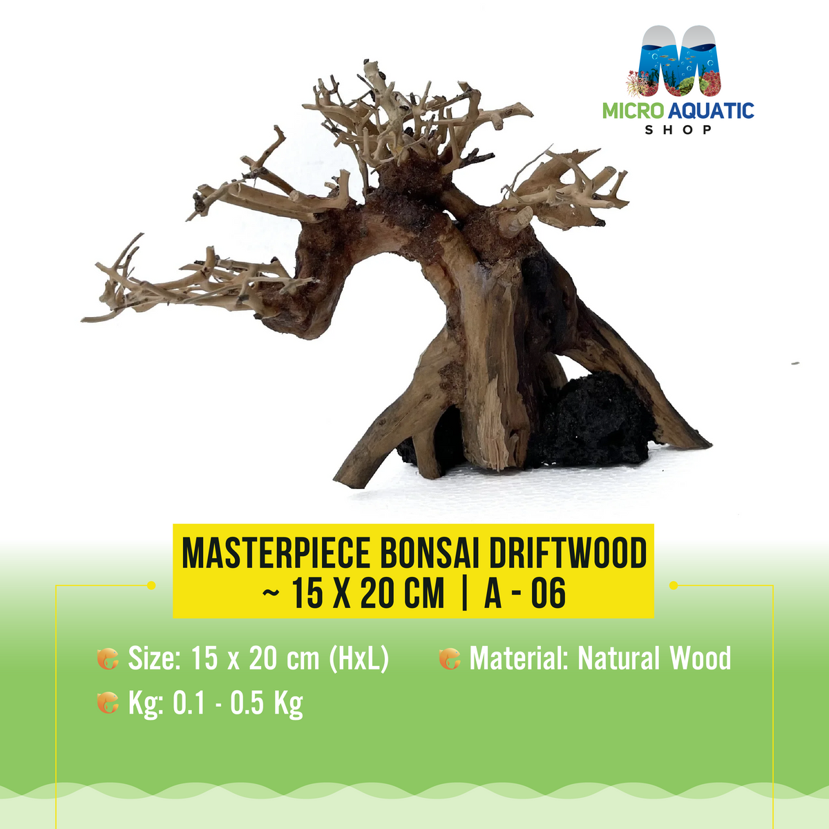 Masterpiece Bonsai Driftwood ~ 15 x 20 cm | A - 06