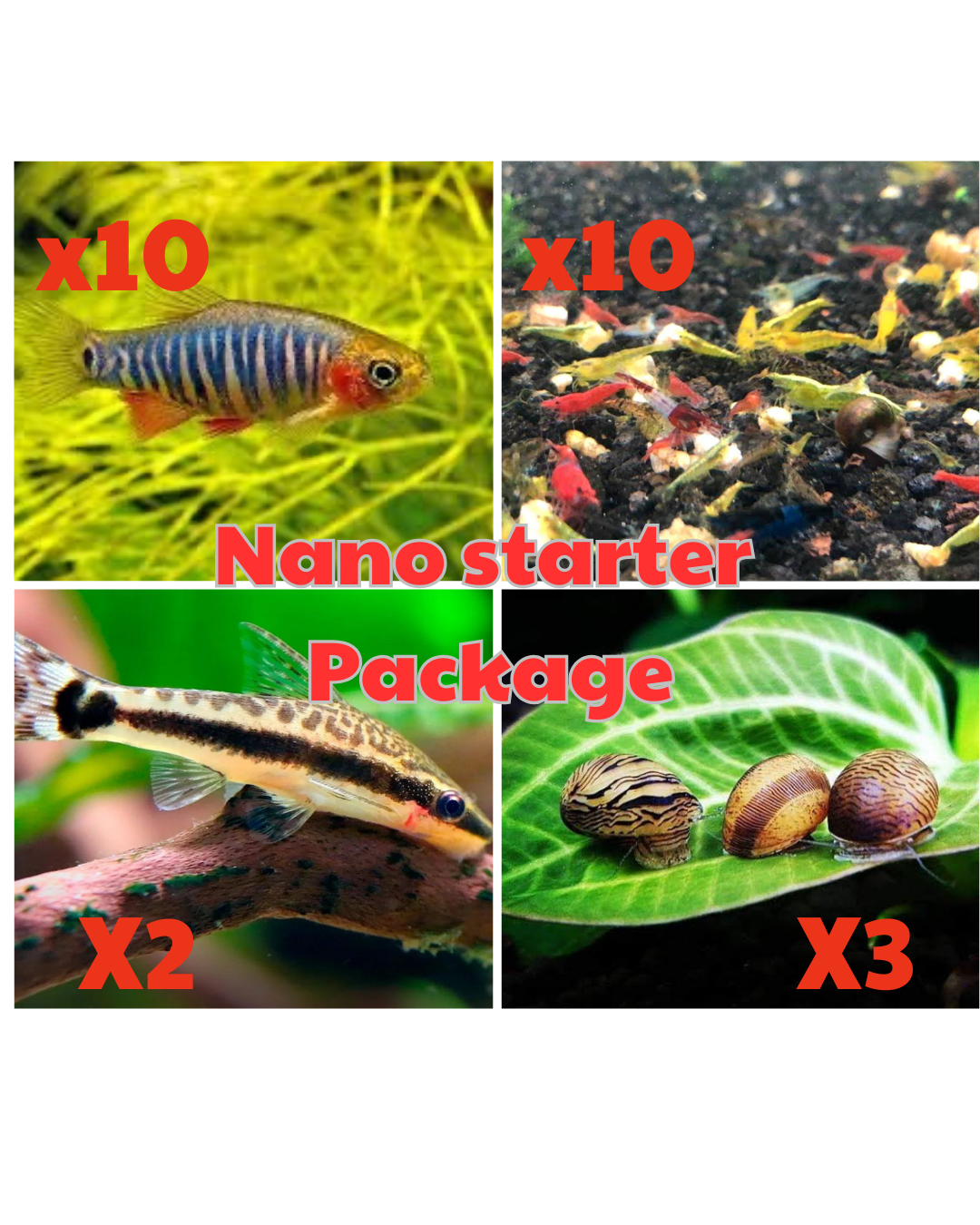*New* Nano Tank Starter Package 3