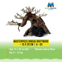 Masterpiece Bonsai Driftwood ~ 15 x 20 cm | A - 03
