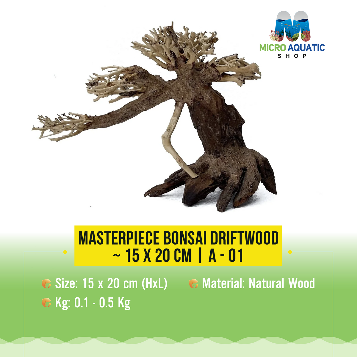 Masterpiece Bonsai Driftwood ~ 15 x 20 cm | A - 01