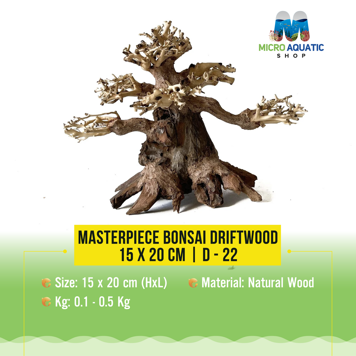Masterpiece Bonsai Driftwood - 15 x 20 cm | D - 22