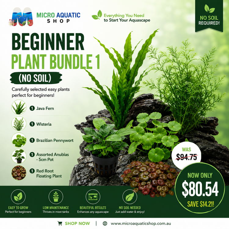 Beginner Plant Bundle 1 (NO SOIL ) Micro Aquatic Shop