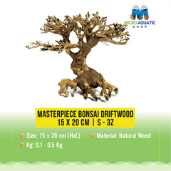 Masterpiece Bonsai Driftwood - 15 x 20 cm | S - 3z