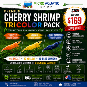 Premium Cherry Shrimp Tricolor Pack - 30 Shrimps Bundle 4 Micro Aquatic Shop