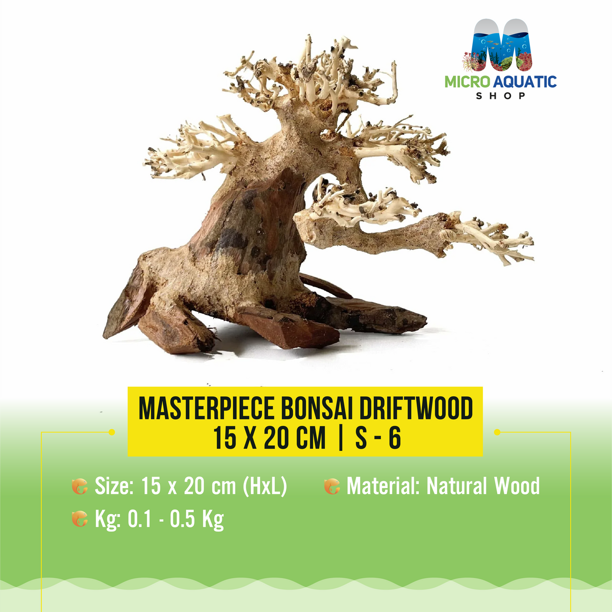 Masterpiece Bonsai Driftwood - 15 x 20 cm | S - 6