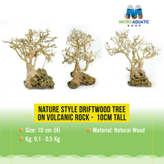 New Nature style Driftwood tree on Volcanic Rock -  15 cm height