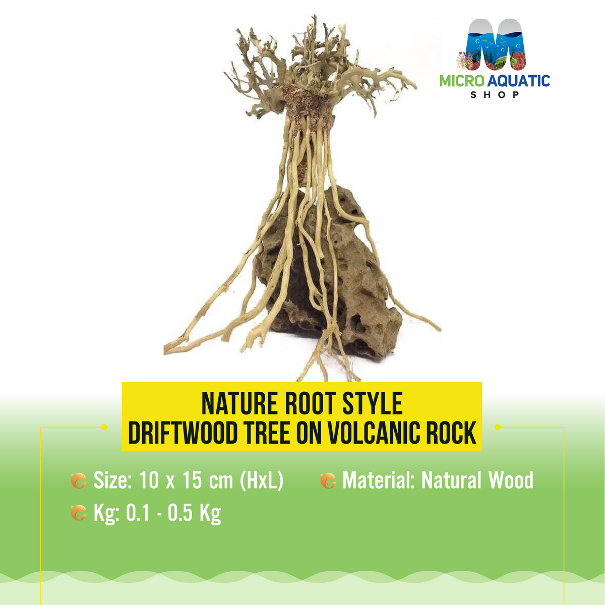 Nature Root Style Driftwood tree on Volcanic Rock