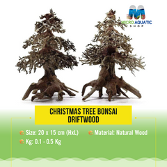 Christmas Tree Bonsai Driftwood