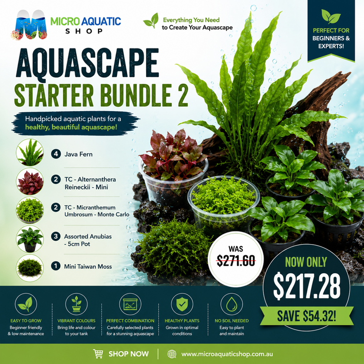 Aquascape Starter Bundle 2 Micro Aquatic Shop