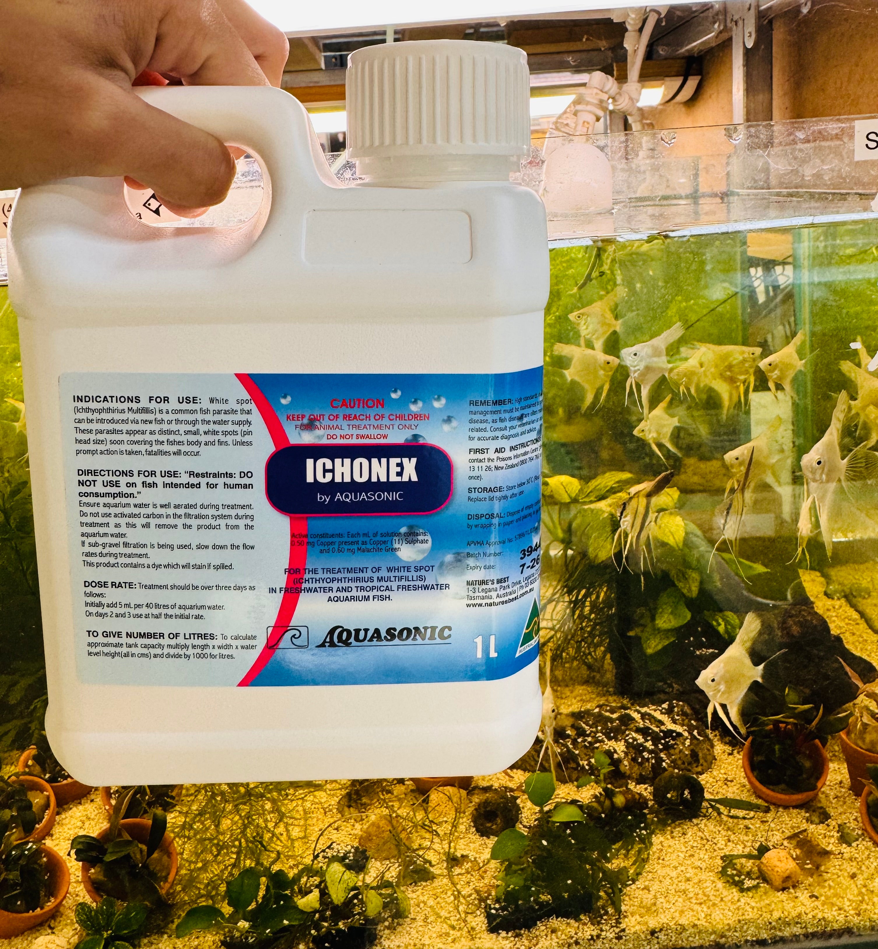 Medication- Aquasonic Ichonex - White Spot