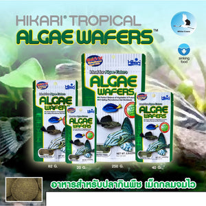 Hikari Tropical Algae Wafers - 82g Micro Aquatic Shop
