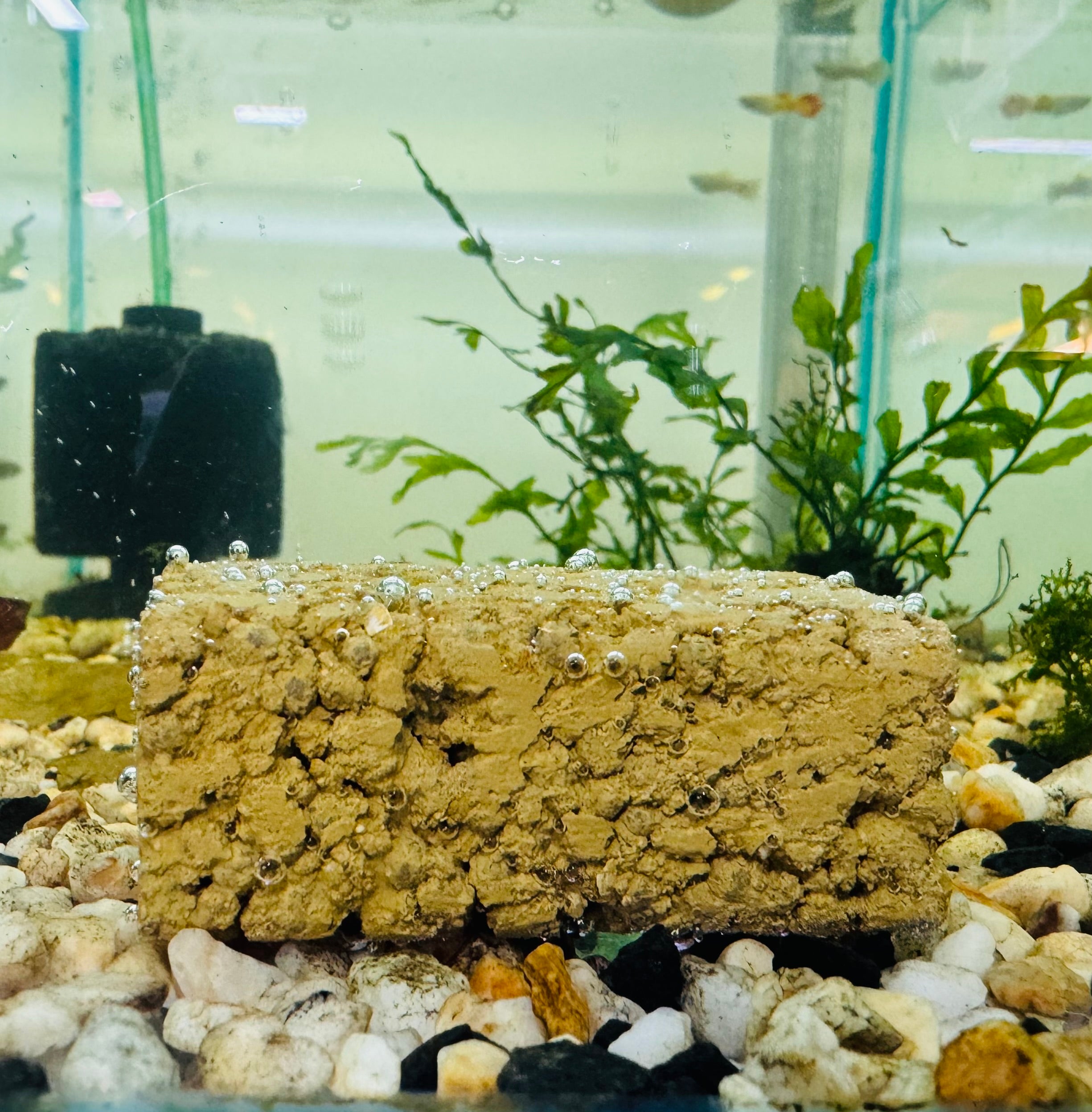 Bio Mini Block - Clean and Healthy Tank