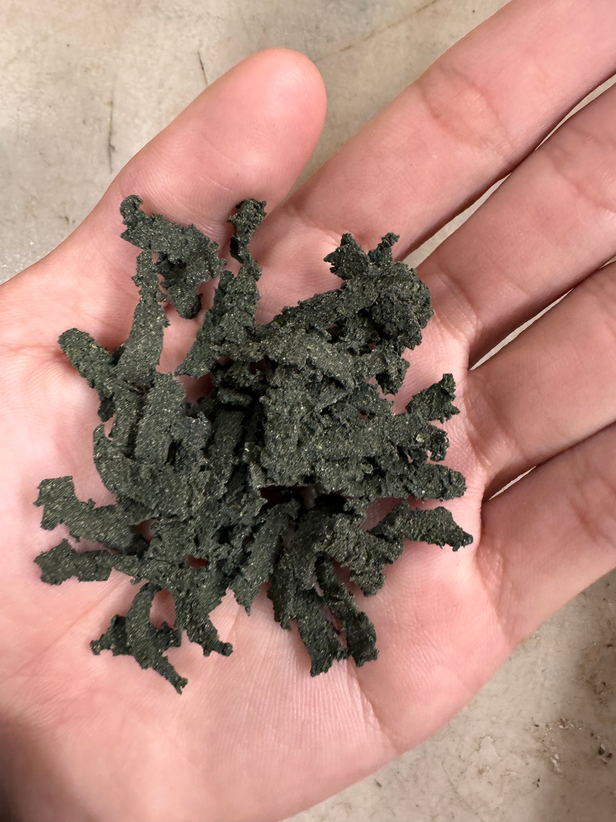 Color Expert - Spinach & Spirulina Secret Food