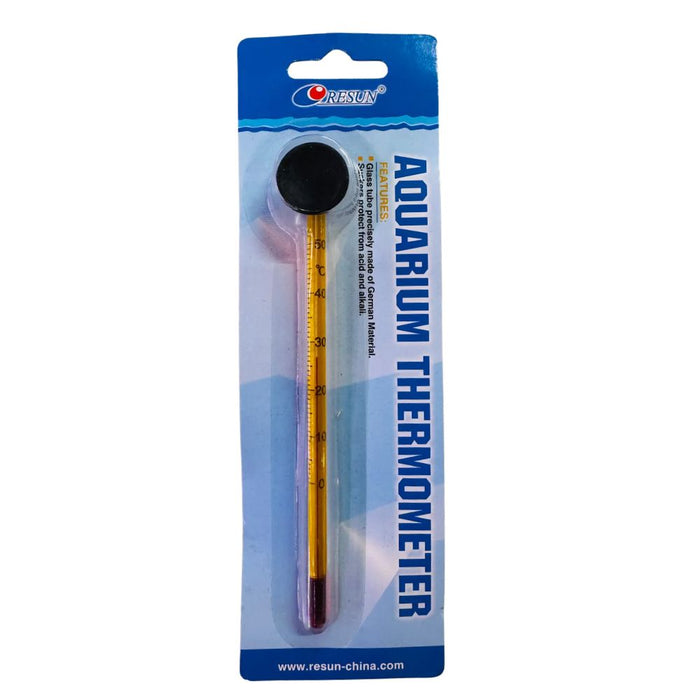 Glass Thermometer (15cm)