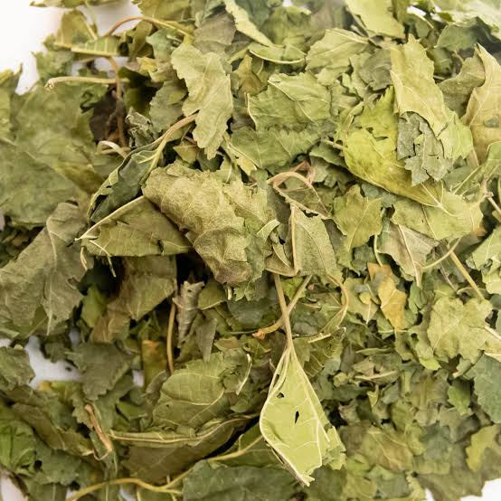 Botanical - Dried Mulberries Leaves