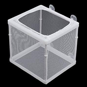 breeding net for fish BMIROAMDFE Large Breeder with Suction Cups Nylon Mesh Fish Fry Hatchery Breeder Isolation Box Separation Net Plants/Shrimp on Aquarium Tank : Pet Supplies Fish Breeder Box Aqua Nova