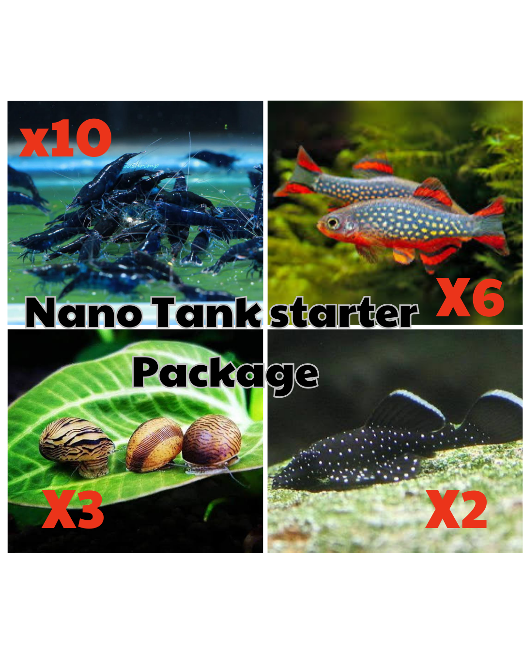*New* Nano Tank Starter Package 1