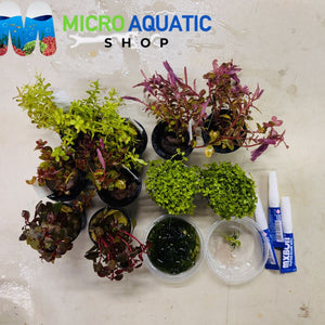 Aquascape Starter Bundle 1 Micro Aquatic Shop