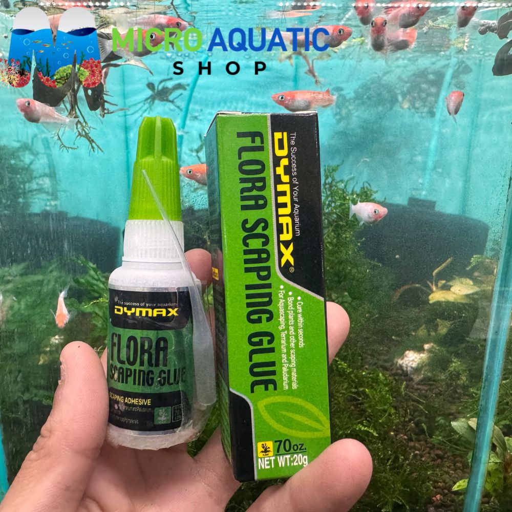 Dymax Flora Aquascaping Glue 20gr
