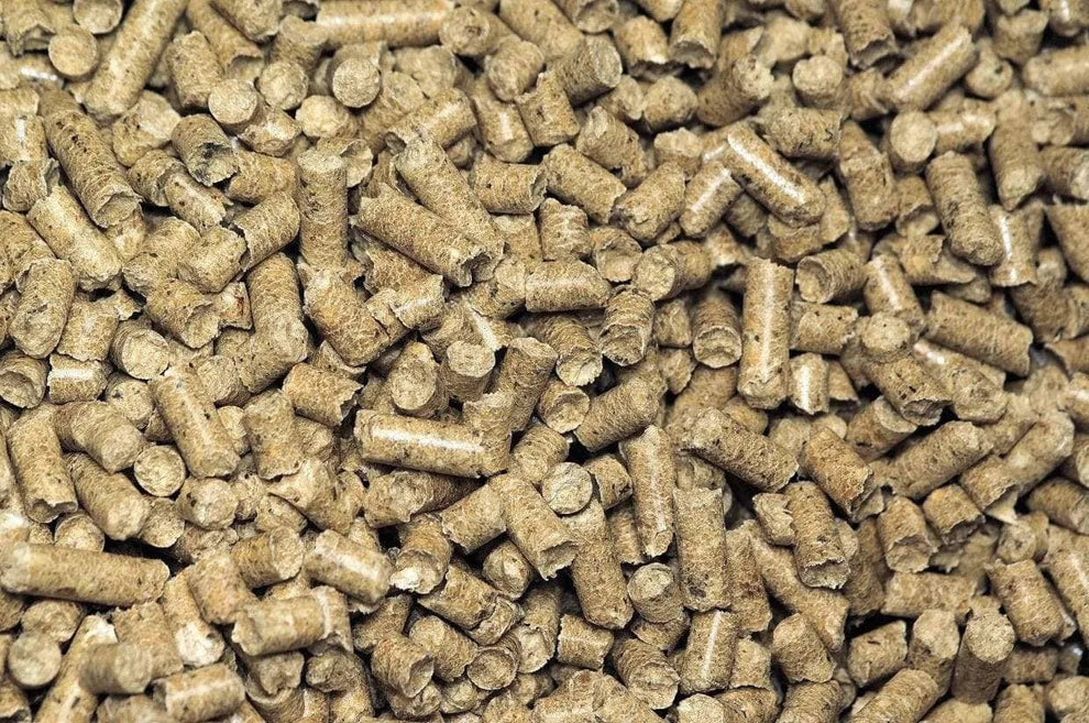 Red Cherry Shrimp – Newbie Friendly Bundle Micro Aquatic Shop