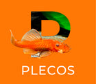 Plecos