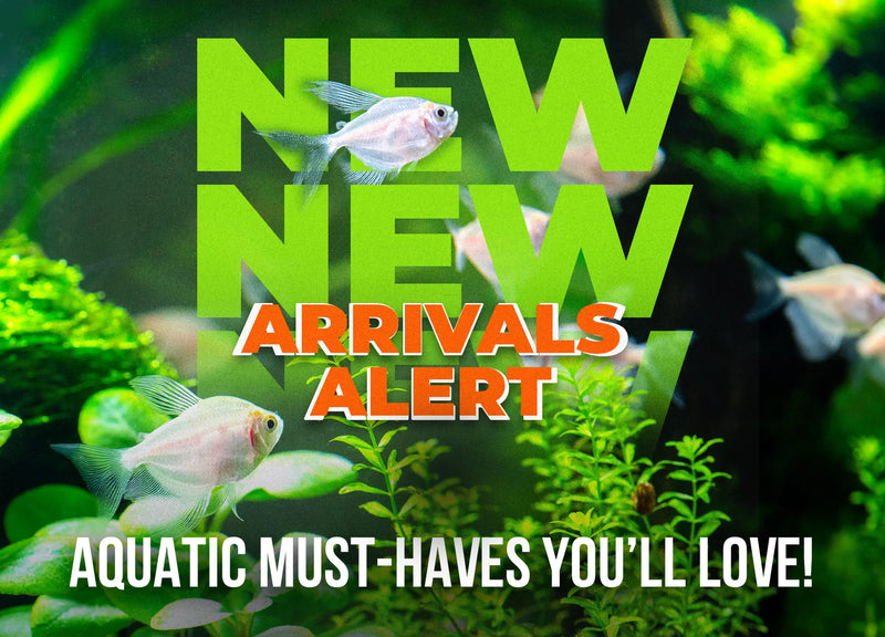 Premium Aquatic Essentials