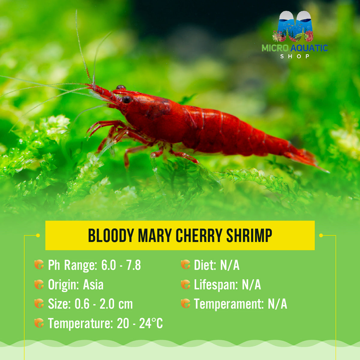Bloody Mary Cherry Shrimp