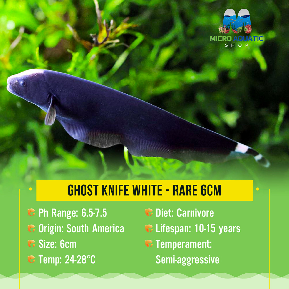 Ghost Knife White - Rare 6cm