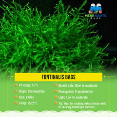 FONTINALIS BAGS