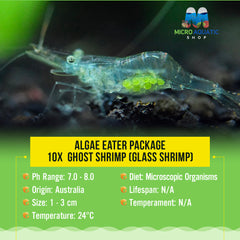 Algae Eater Package 10x  Ghost Shrimp (Glass Shrimp)