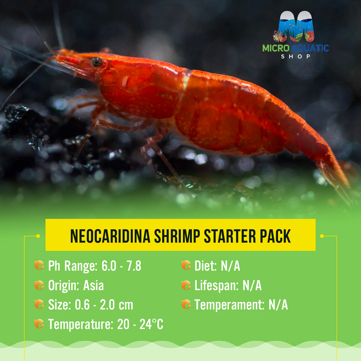 Neocaridina Shrimp Starter Pack