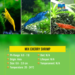 Mix Cherry Shrimp