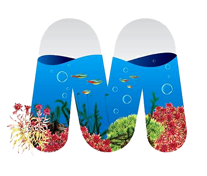 microaquaticshop.com.au
