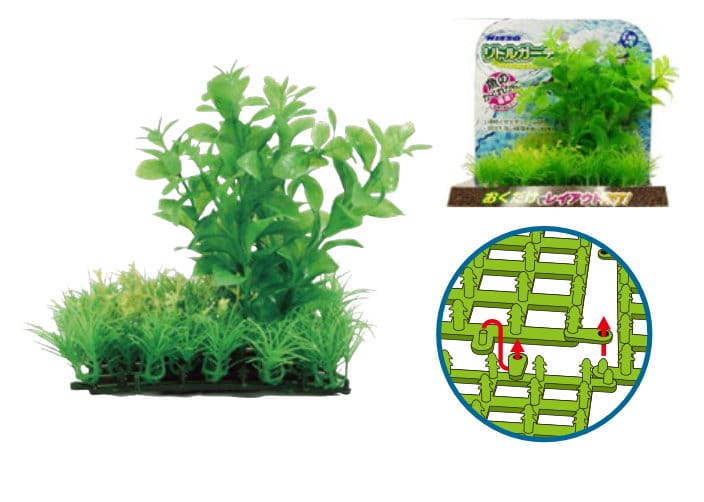 Nisso Little Garden Pennywort (NAP-501)