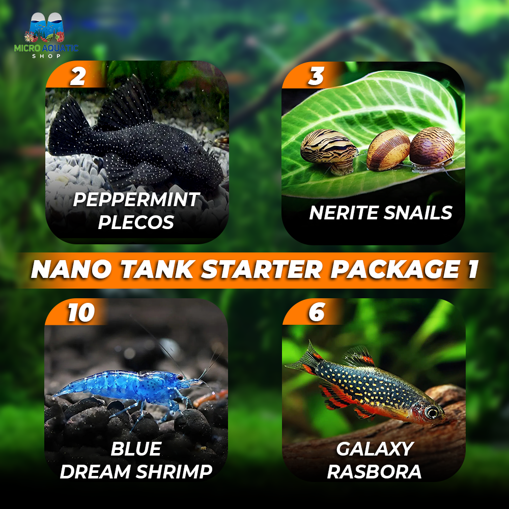 *New* Nano Tank Starter Package 1