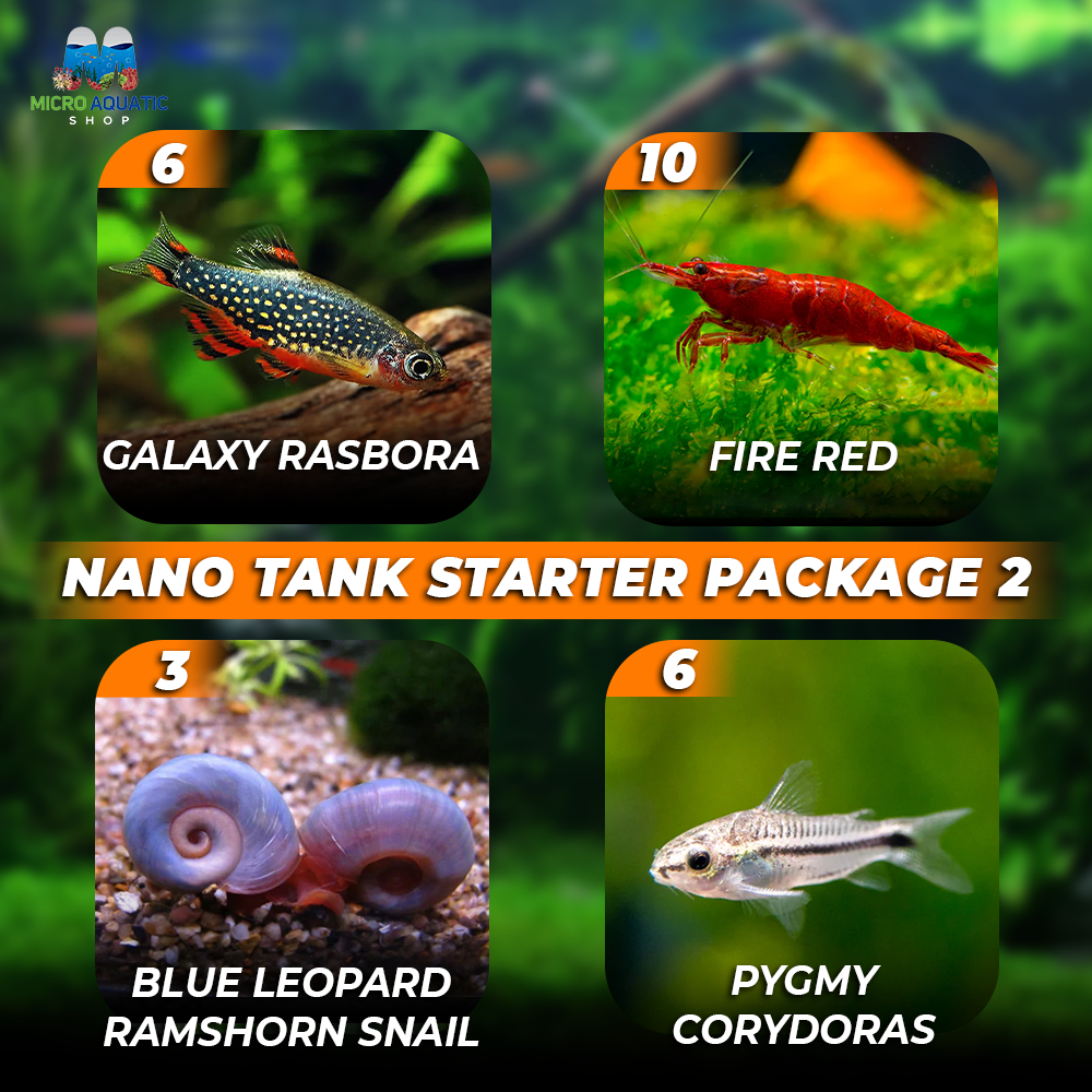*New* Nano Tank Starter Package 2