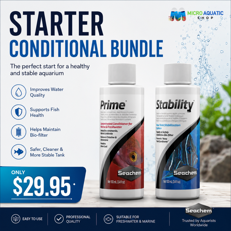 Starter Conditioner Bundle