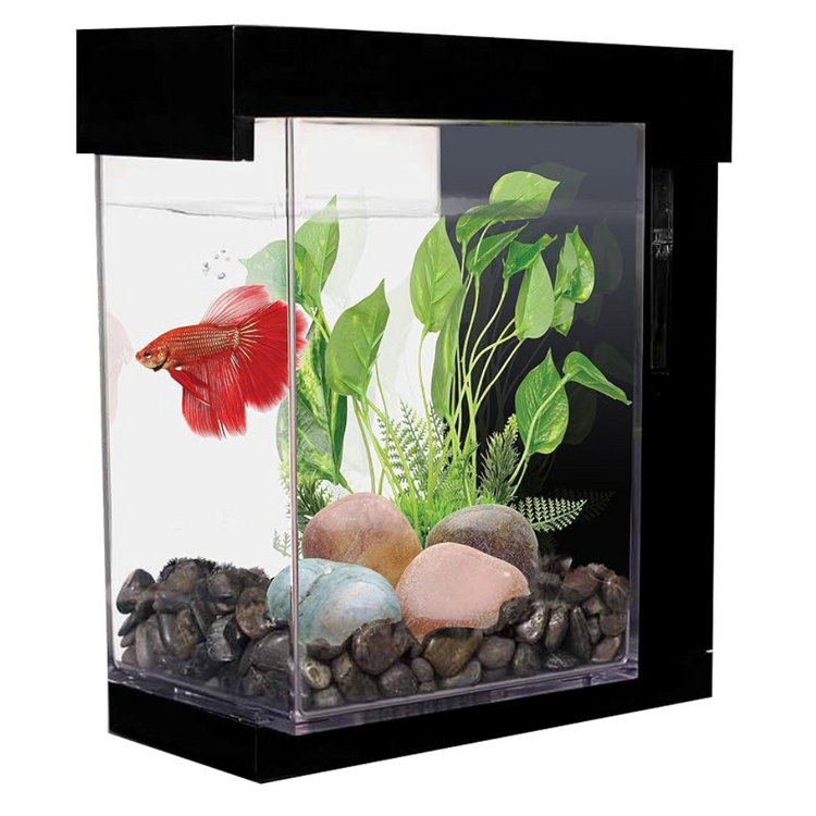 Marina EZ Care Betta Kit Black 3.7ltr